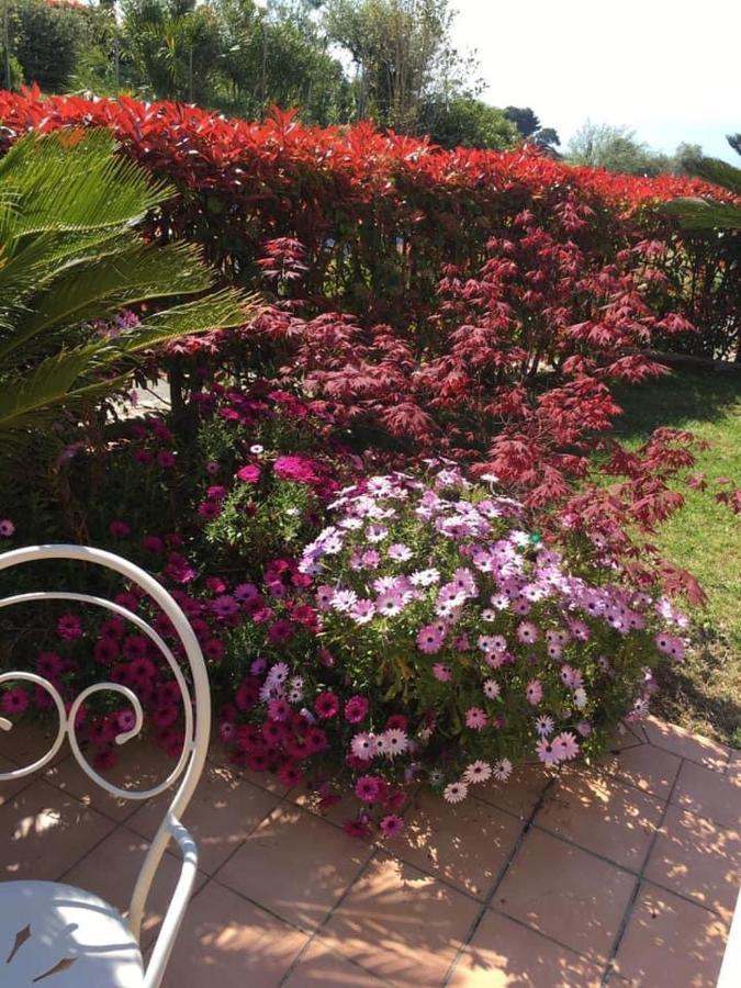 Gaia - La Finestra Sul Mare Exclusive Villa&guest House 3* Bordighera