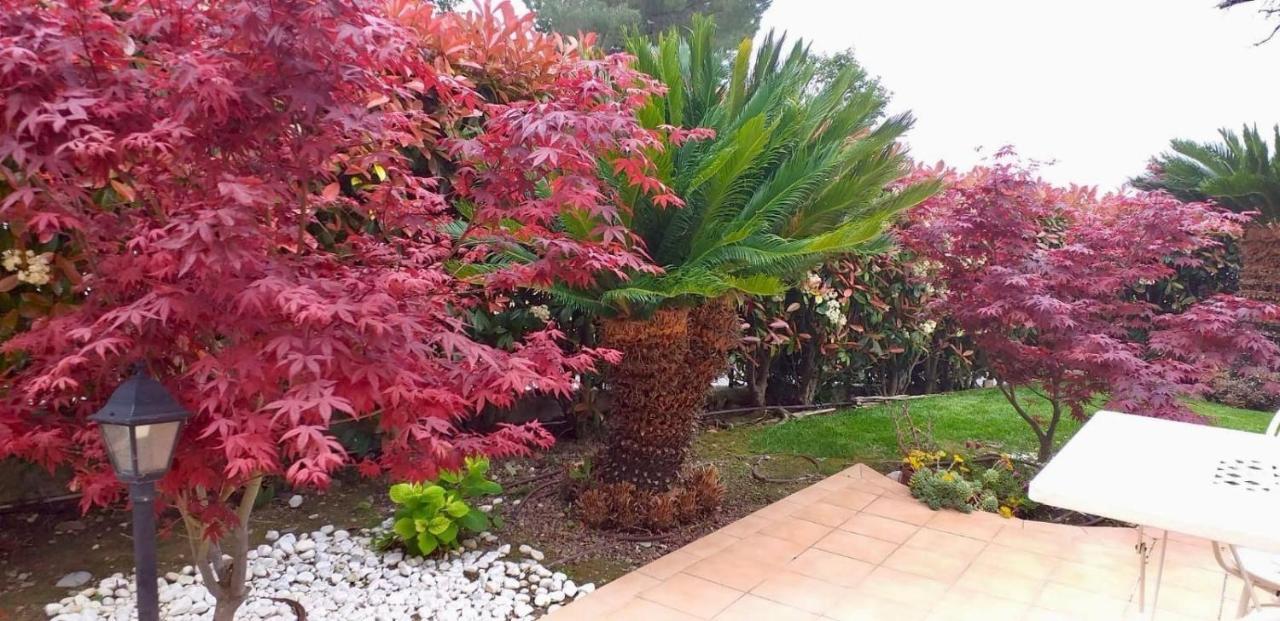 Gaia - La Finestra Sul Mare Exclusive Villa&guest House Bed & Breakfast Bordighera