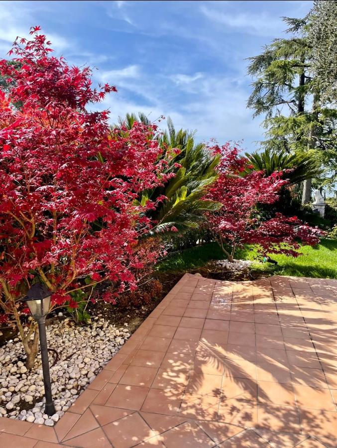 Alojamento de Acomodação e Pequeno-almoço Gaia - Luxury Villa, Pool & Wellness Bordighera