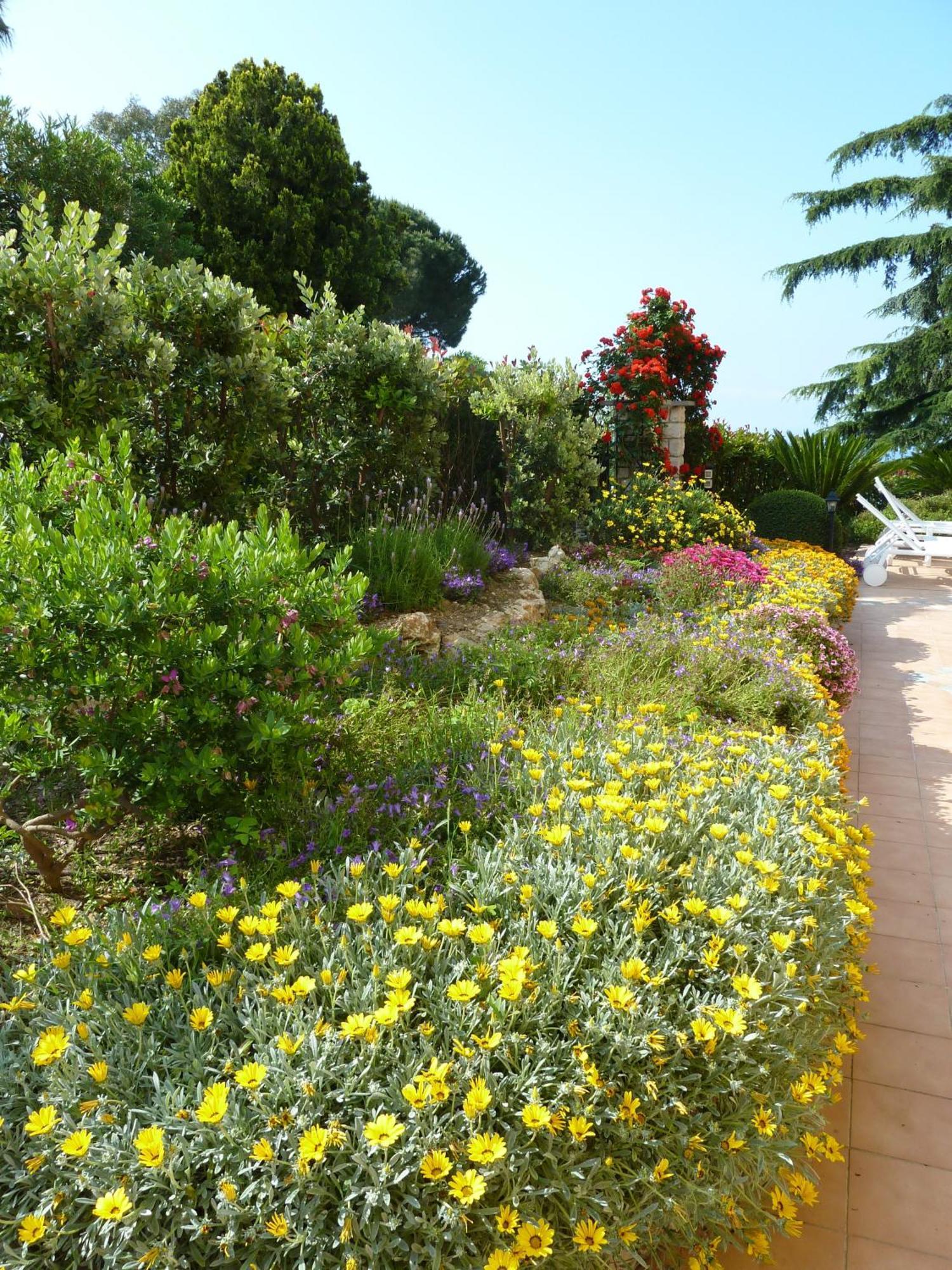 Alojamento de Acomodação e Pequeno-almoço Gaia - Luxury Villa, Pool & Wellness Bordighera