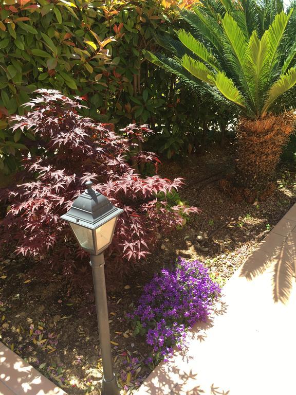 Gaia - Luxury Villa, Pool & Wellness Bordighera
